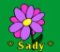 Sady